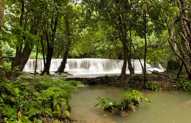 Beau paysage d'une puissante cascade qui coule dans une rivière dans une forêt