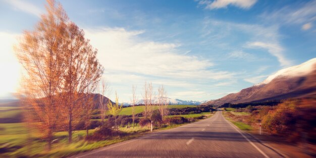 Beau paysage de route