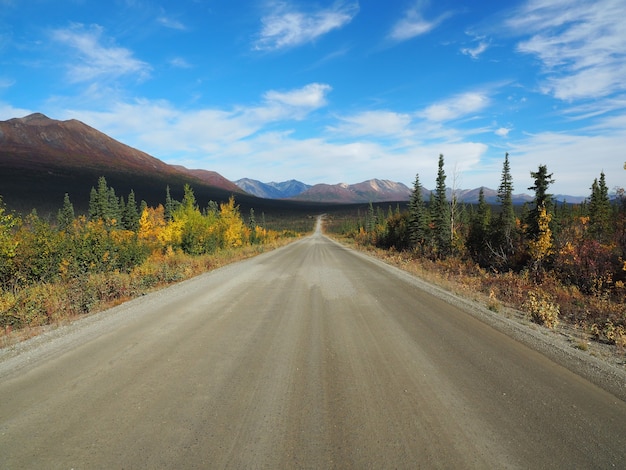 Beau paysage d'un sentier entouré de verdure avec de hautes montagnes rocheuses en arrière-plan