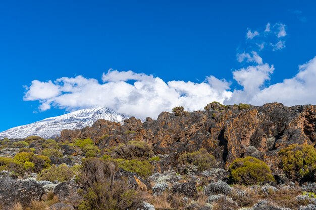 Beau paysage de Tanzanie et du Kenya