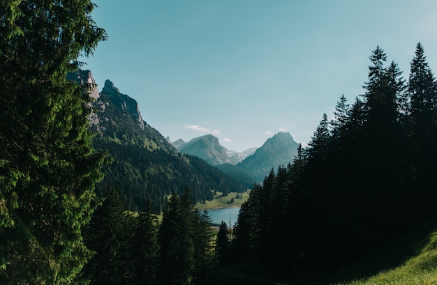 Photo gratuite beau paysage tourné d'arbres et de montagnes sous un ciel bleu clair