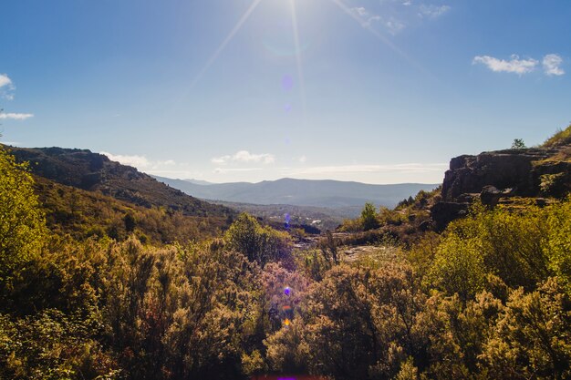 Beau paysage vallonné