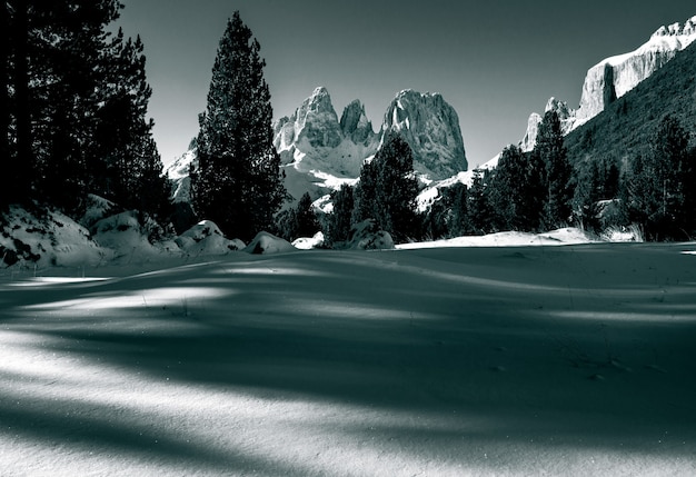 Photo gratuite beau paysage d'une zone enneigée entourée de nombreuses falaises rocheuses et de sapins dans les dolomites