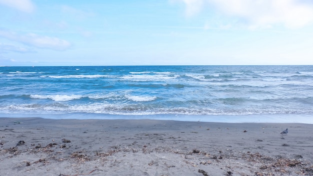 Beau plan large d'une plage de sable avec des vagues océaniques incroyables et un ciel bleu