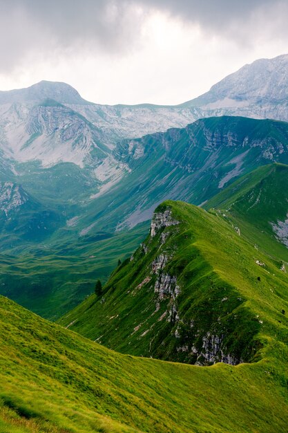 Beau plan vertical d'un long sommet de montagne recouvert d'herbe verte. Parfait pour un papier peint