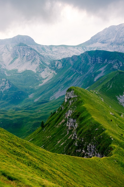 Beau plan vertical d'un long sommet de montagne recouvert d'herbe verte. Parfait pour un papier peint