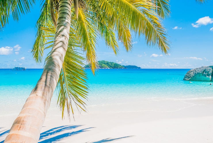 Photo gratuit beau sable ciel plage voyage