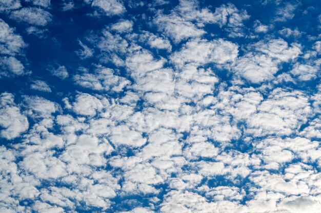 Beau skyscape pendant la journée