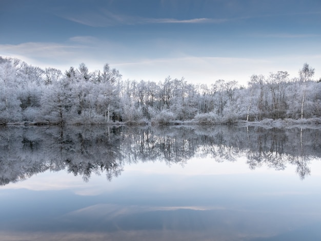 Beau tir de l'eau reflétant les arbres enneigés sous un ciel bleu