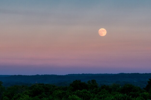 Beau tir de la grande lune grise dans le ciel du soir sur une épaisse forêt verte