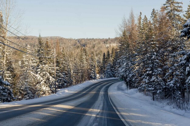 Beau tir d'une route étroite enneigée à la campagne