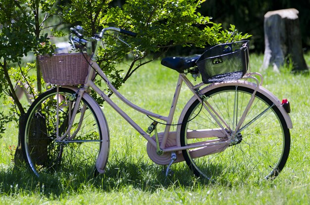 Beau vélo rose garé par un arbre au milieu d'un champ couvert d'herbe