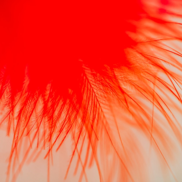 Beaucoup de fibres rouges abstraites sur la plume