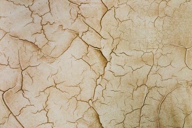 Beaucoup de fissures dans le mur de ciment