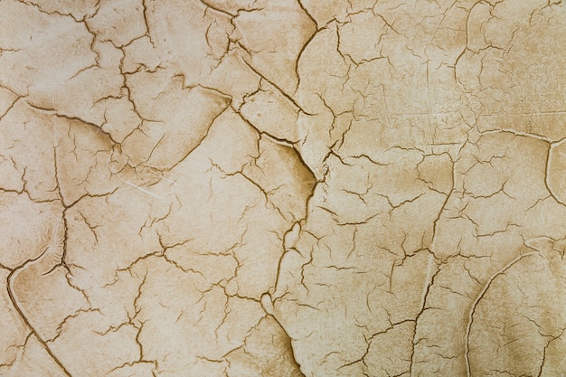 Beaucoup de fissures dans le mur de ciment