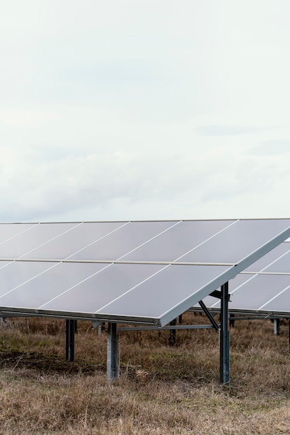 Beaucoup de panneaux solaires produisant de l'électricité