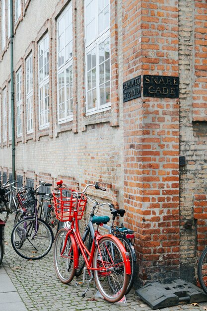 Beaucoup de vélos sur la rue pavée