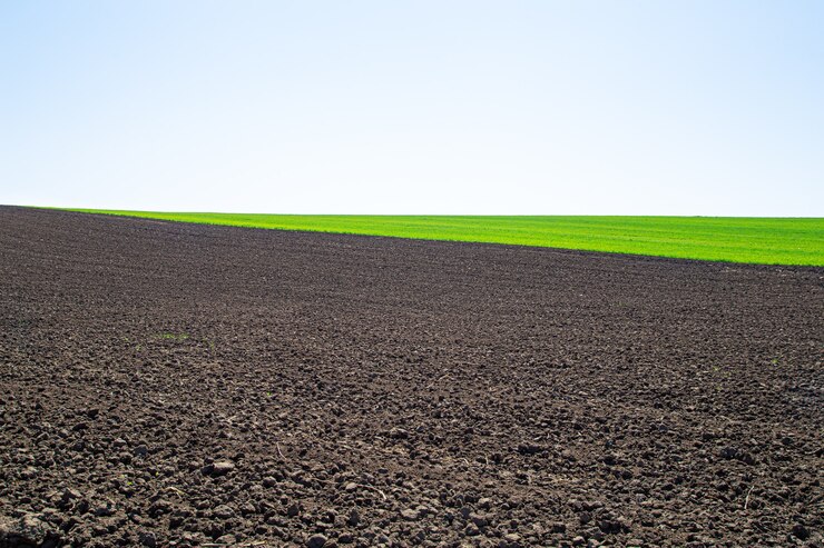 Photo gratuit beaux champs de terre noire en ukraine. paysage rural agricole, collines colorées. terres sombres labourées et champs verts. explorez la beauté du monde.