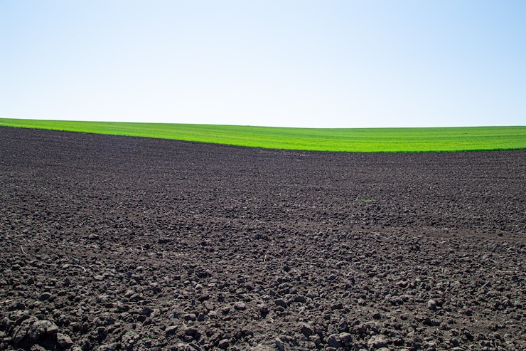 Photo gratuit beaux champs de terre noire en ukraine. paysage rural agricole