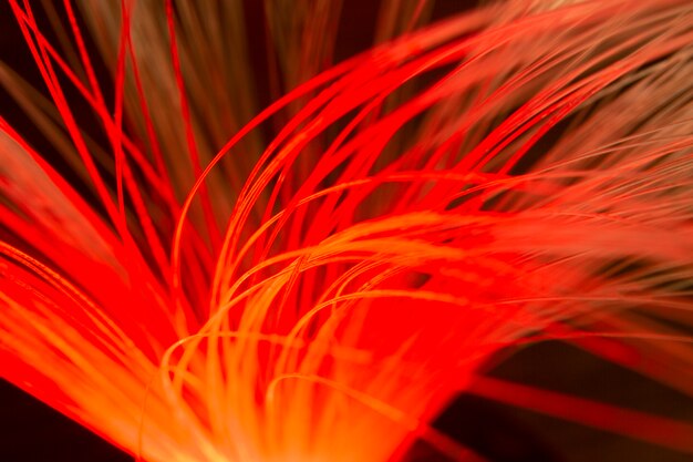 Beaux détails de la fibre optique