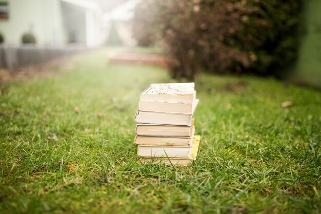 Beaux livres sur l&#39;herbe