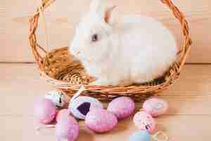 Photo gratuite beaux œufs près de lapin dans le panier