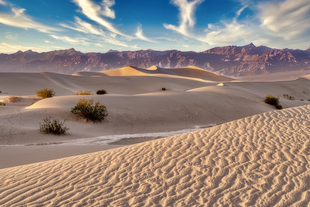 Beaux paysages des dunes de sable plat de Mesquite, Death Valley, Californie