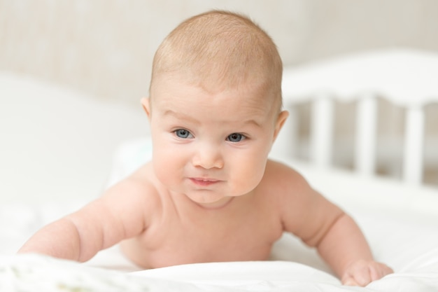 Bébé mignon se met aux bras