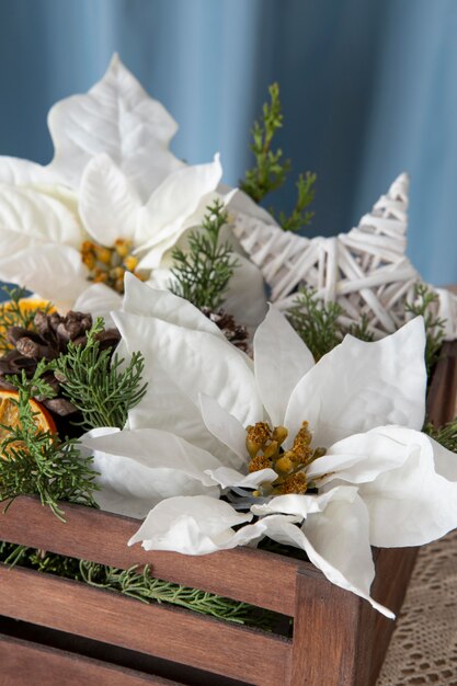 Bel arrangement de poinsettias blancs