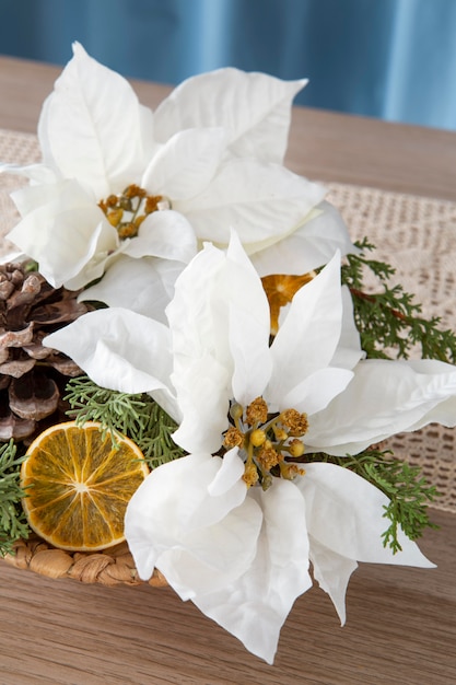 Bel arrangement de poinsettias blancs