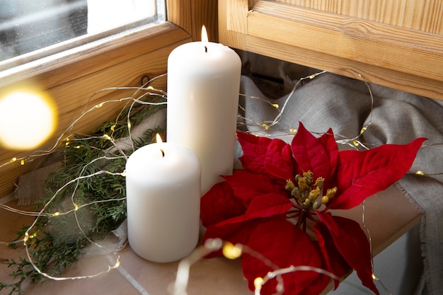 Photo gratuite bel arrangement de poinsettias rouges