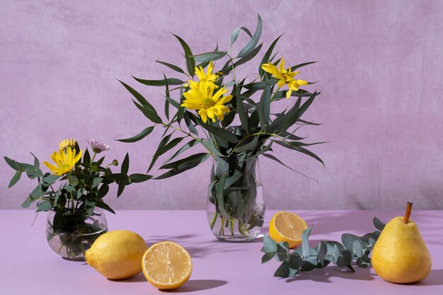 Bel eucalyptus avec des fleurs