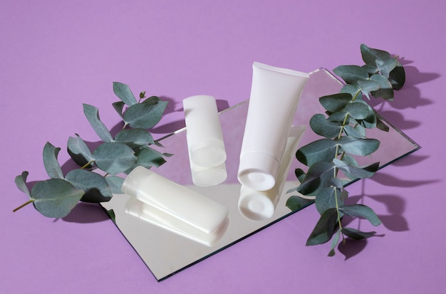 Photo gratuite bel eucalyptus avec des produits de beauté