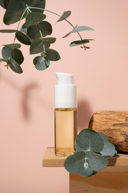 Bel eucalyptus avec des produits de beauté