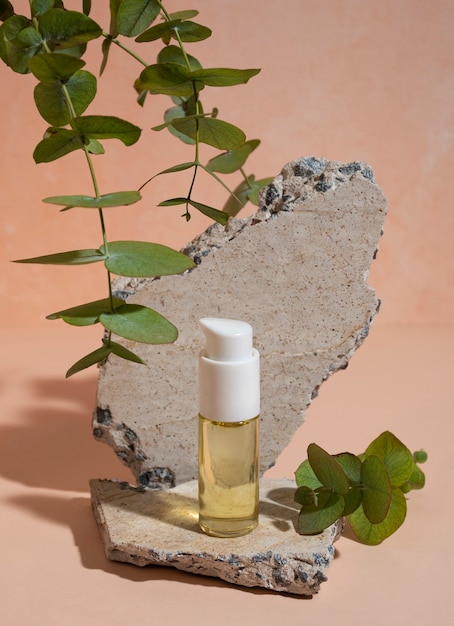 Bel eucalyptus avec des produits de beauté