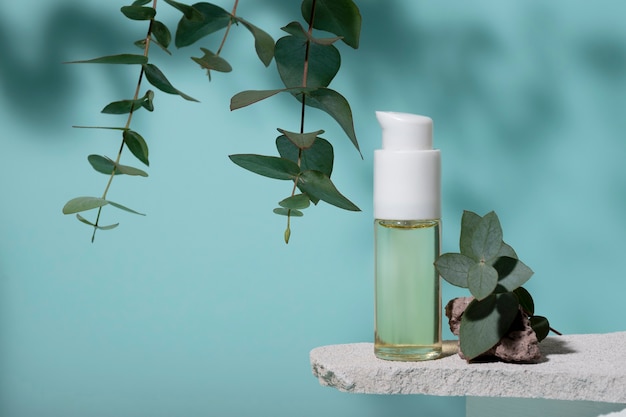 Bel eucalyptus avec des produits de beauté