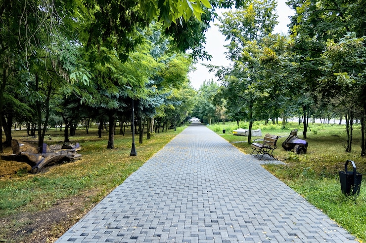 Photo gratuit belle allée dans un parc avec bancs