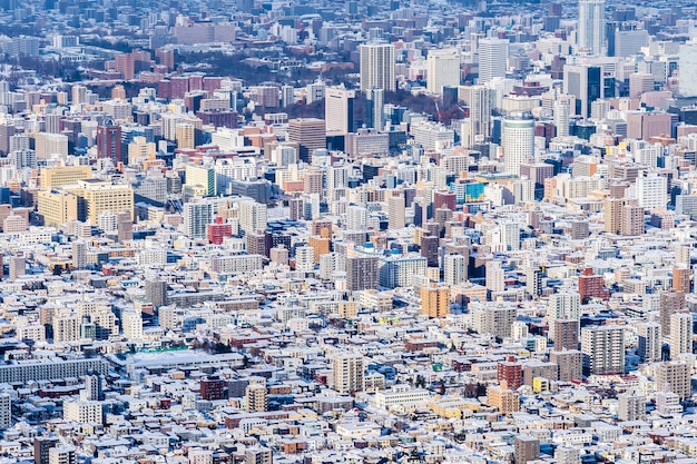 Belle architecture bâtiment avec paysage de montagne en saison d&#39;hiver ville de Sapporo Hokkaido Japon