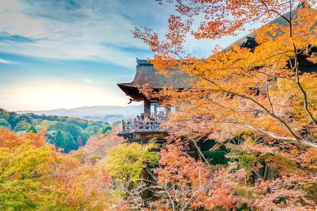 Belle architecture de temple Kiyomizu-dera Kyoto, Japon