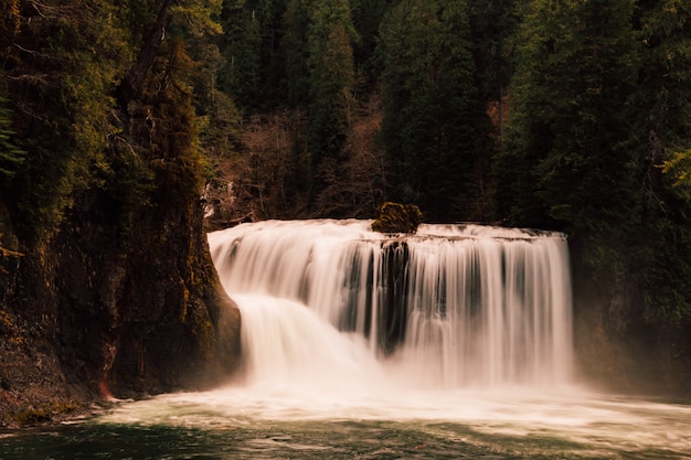 Belle cascade dans la forêt