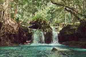 Photo gratuite belle cascade dans la zone tropicale forestière. paysage de cascade.