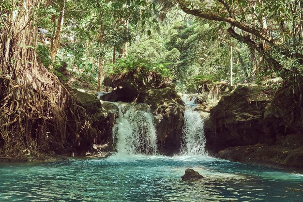 Belle cascade dans la zone tropicale forestière. Paysage de cascade.