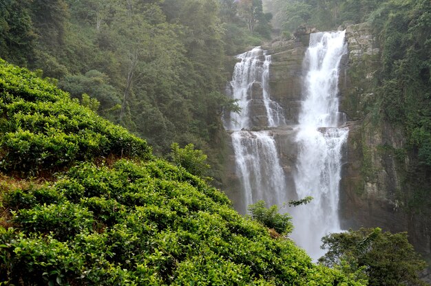 Belle cascade de Ramboda sur l'île du Sri Lanka