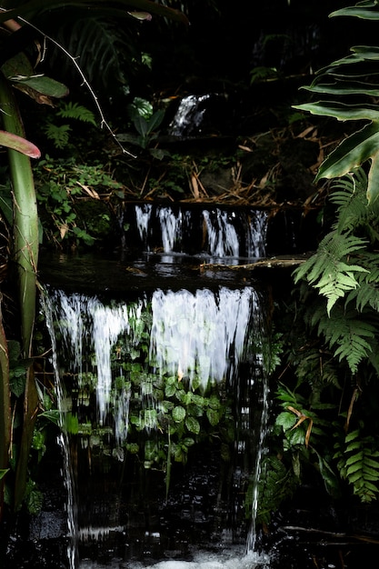 Photo gratuite belle cascade tropicale