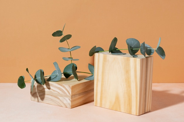 Photo gratuite belle composition d'eucalyptus