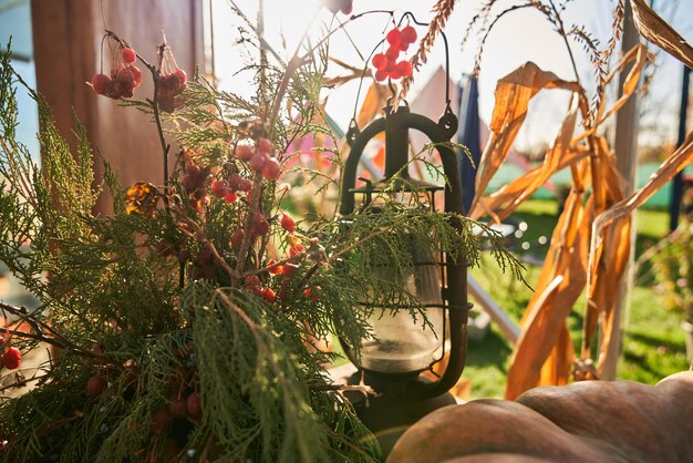 Photo gratuite belle décoration d'automne avec une grande branche de citrouille en forme de viburnum et une lampe à kérosène à l'extérieur