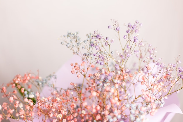 Belle décoration mignonne petites fleurs colorées séchées, papier peint.
