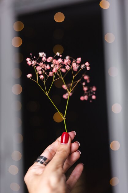 Belle décoration mignonnes petites fleurs colorées séchées sur fond noir foncé, papier peint.