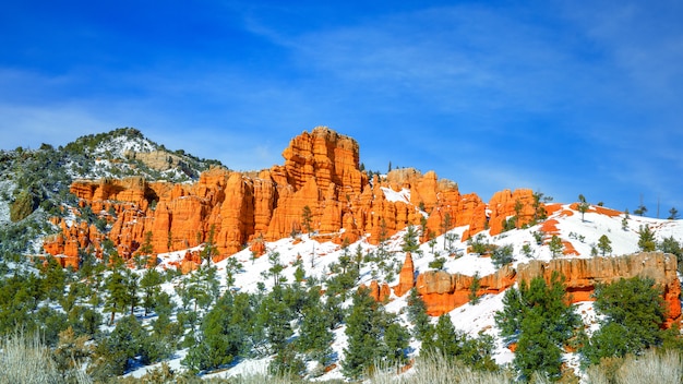 Photo gratuite belle falaise rocheuse entourée de collines couvertes de neige et d'arbres sous le ciel bleu clair