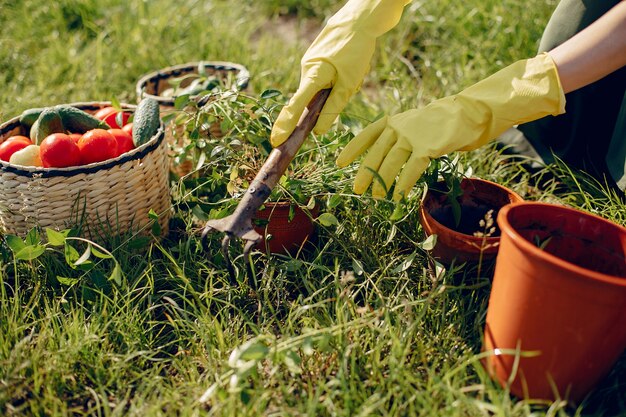 Belle femme dans un champ d'été